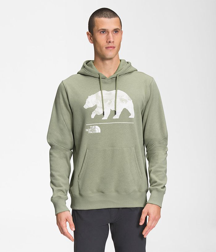 The North Face Hoodie Heren Bearscape Pullover OAGH35709 - Groen